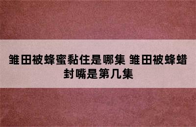 雏田被蜂蜜黏住是哪集 雏田被蜂蜡封嘴是第几集